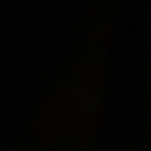 Meet your Posher, Dustin